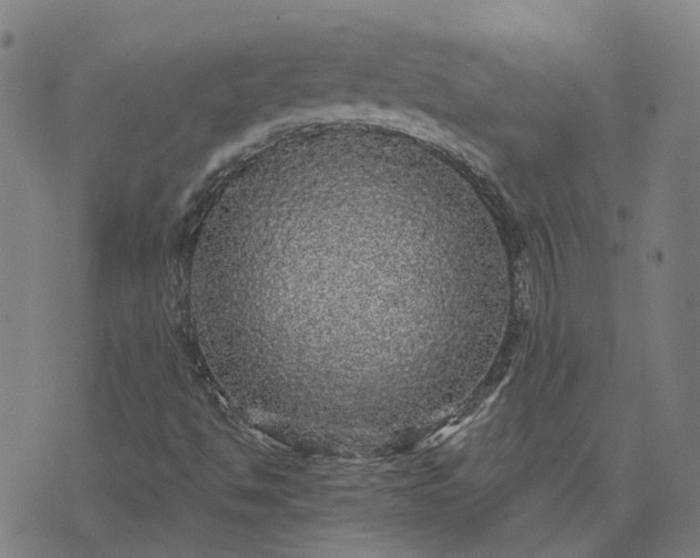 X0000076081494200610061603