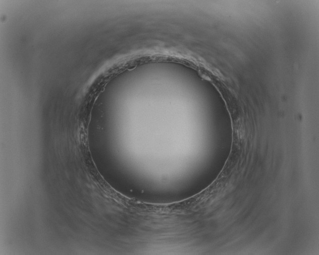 X0000076081495200610061603