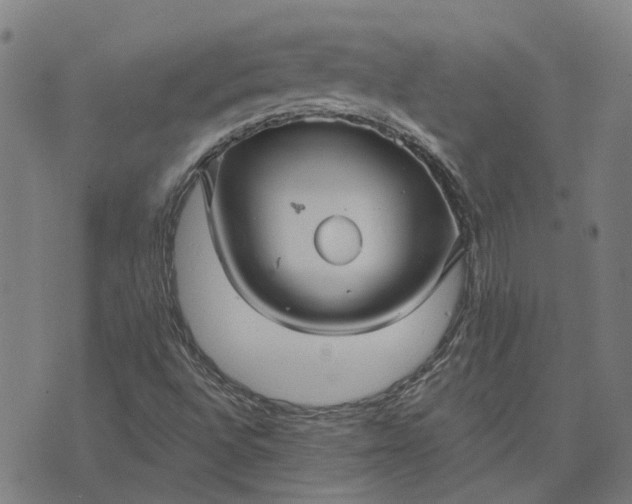 X0000076081496200610061603