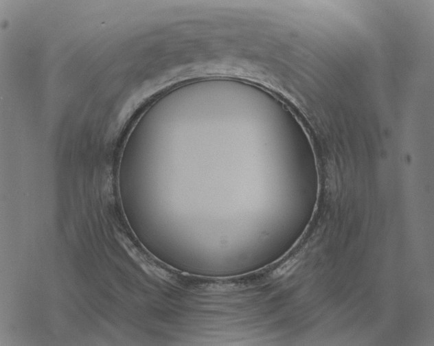 X0000076081499200610061603