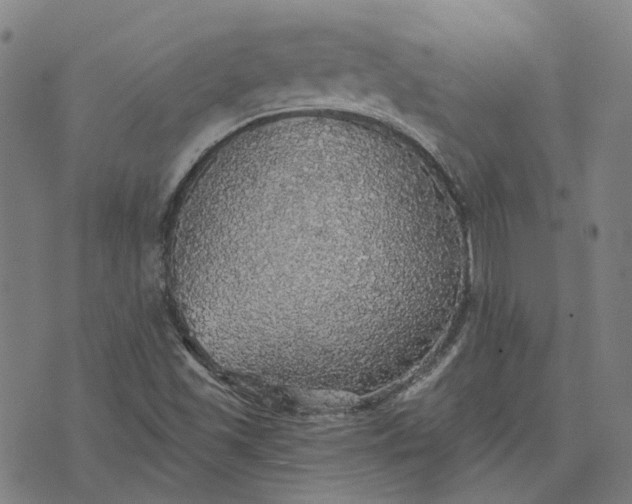 X0000076081501200610061603