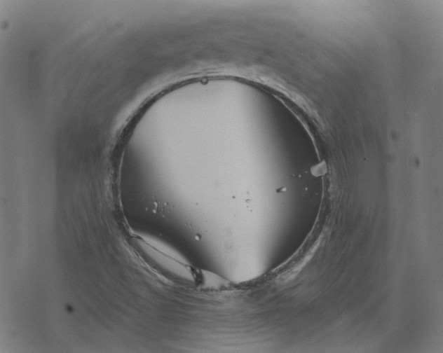 X0000076081502200610061603