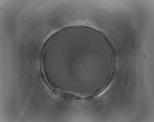 X0000076081505200610061603