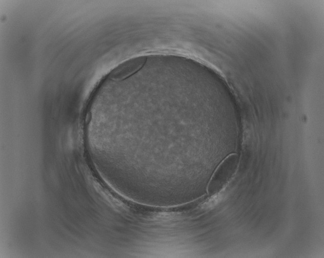 X0000076081506200610061603