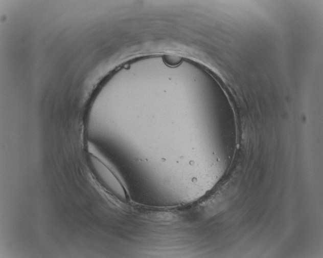 X0000076081507200610061603