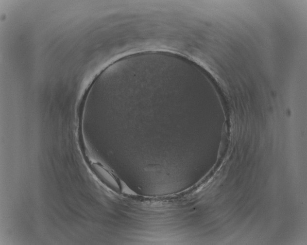 X0000076081508200610061603