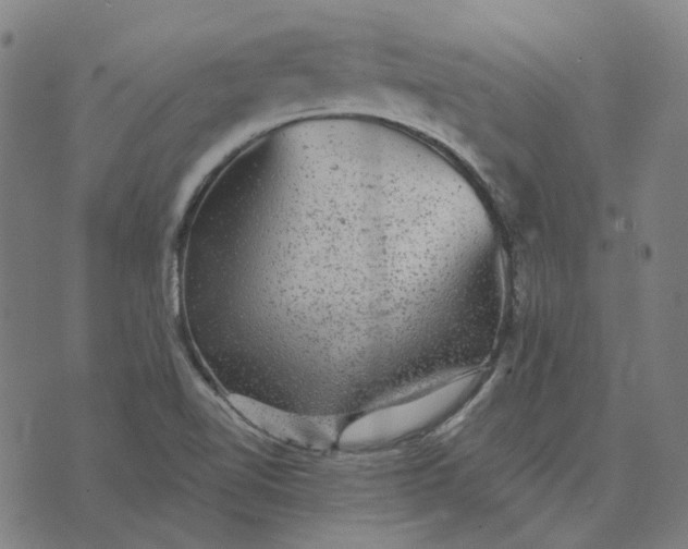 X0000076081510200610061603