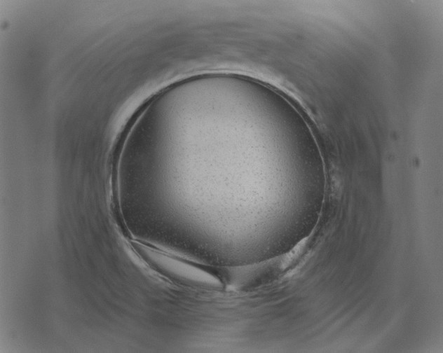 X0000076081511200610061603