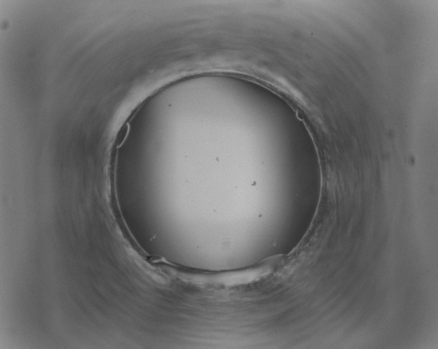 X0000076081512200610061603