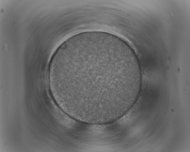 X0000076081514200610061603