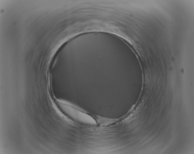 X0000076081515200610061603