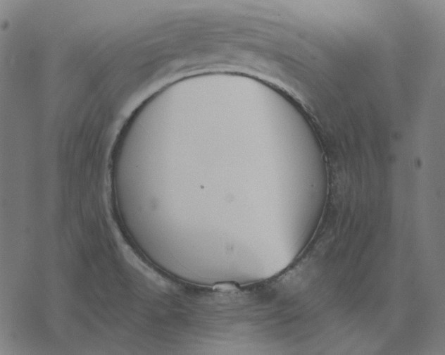 X0000076081518200610061603