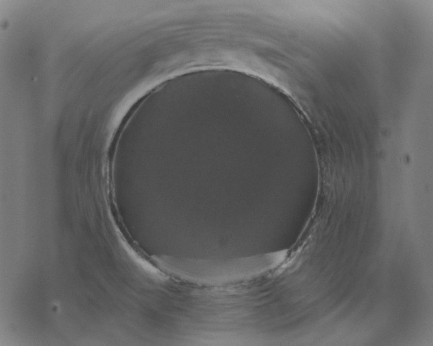 X0000076081519200610061603