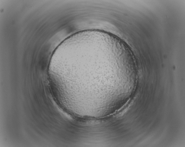 X0000076081521200610061603