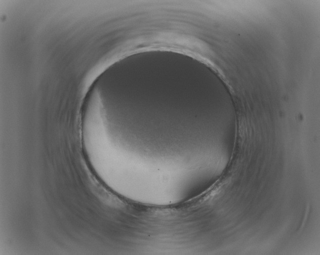 X0000076081522200610061603