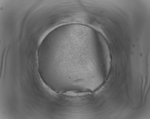 X0000076081524200610061603