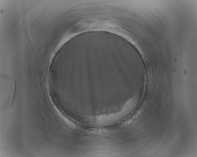 X0000076081525200610061603