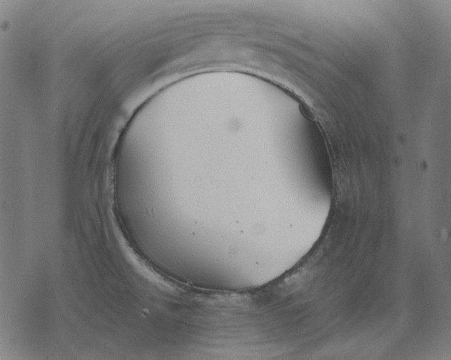 X0000076081526200610061603