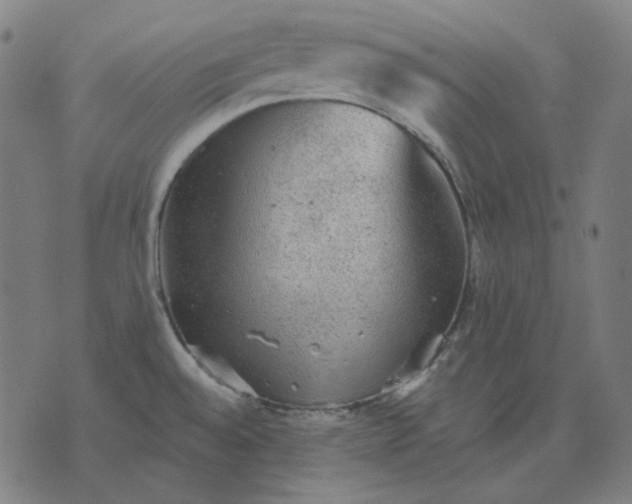 X0000076081528200610061603