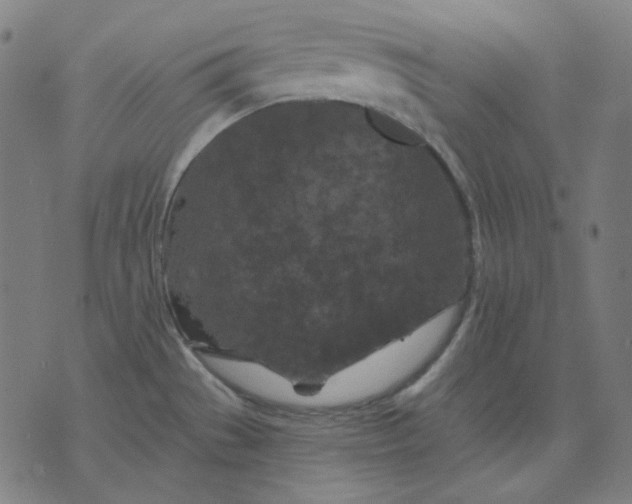 X0000076081529200610061603