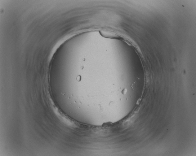 X0000076081530200610061603