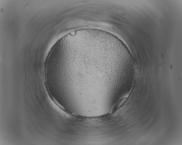 X0000076081531200610061603