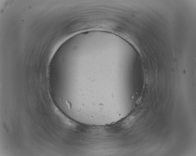 X0000076081532200610061603