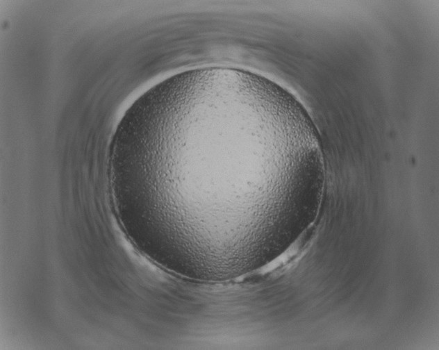 X0000076081534200610061603