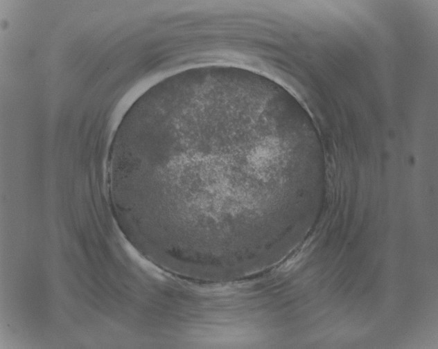 X0000076081535200610061603