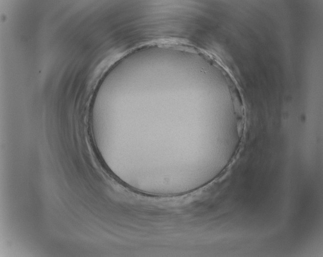 X0000076080001200610152304