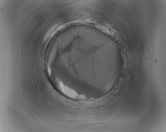 X0000076080002200610152304