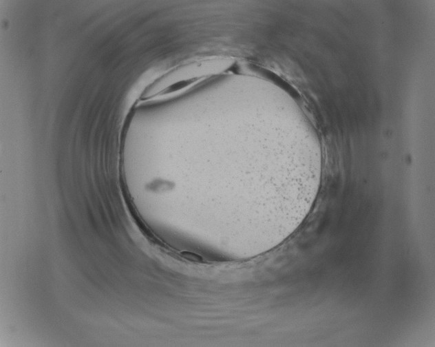 X0000076080003200610152304