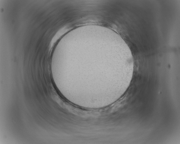 X0000076080004200610152304