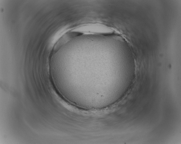 X0000076080005200610152304