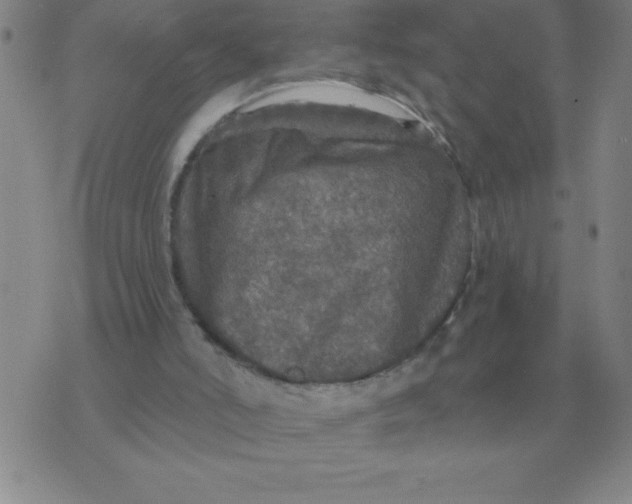 X0000076080006200610152304