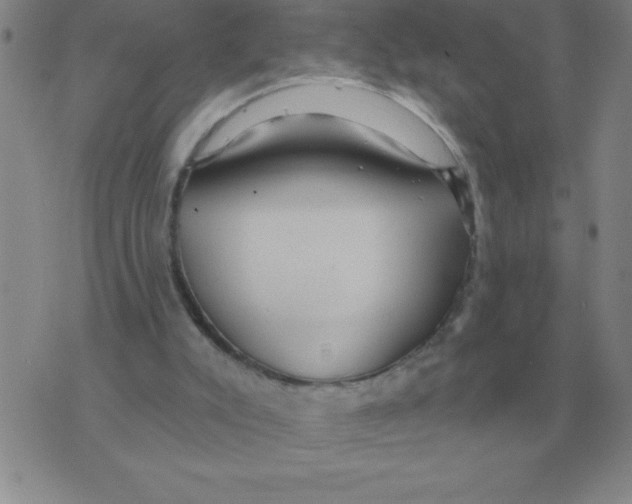 X0000076080007200610152304