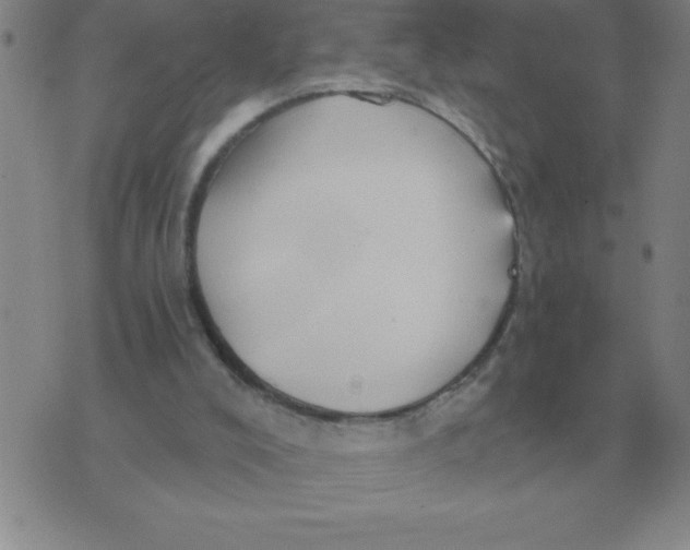 X0000076080008200610152304