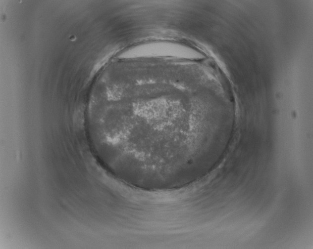 X0000076080010200610152304