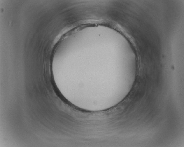 X0000076080011200610152304