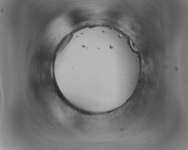 X0000076080013200610152304