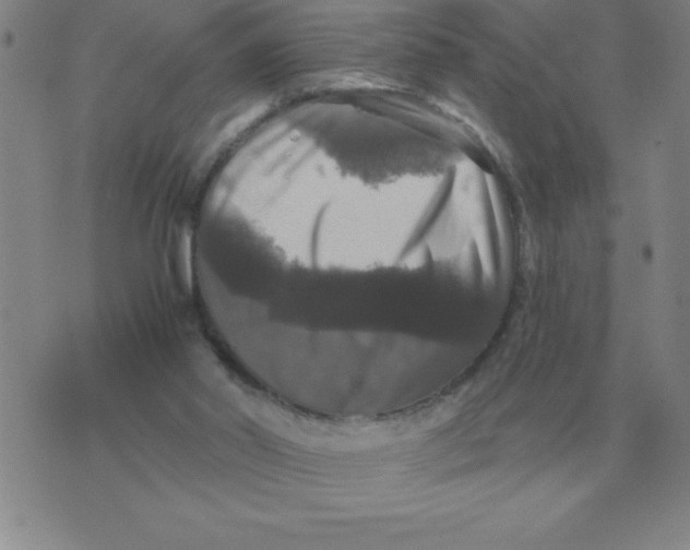 X0000076080014200610152304