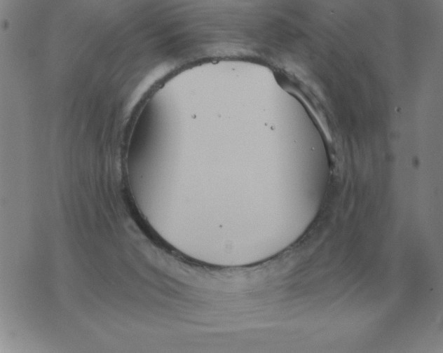 X0000076080015200610152304