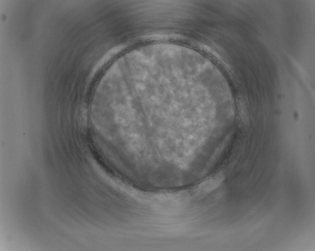 X0000076080016200610152304