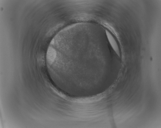 X0000076080017200610152304