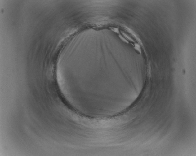 X0000076080018200610152304