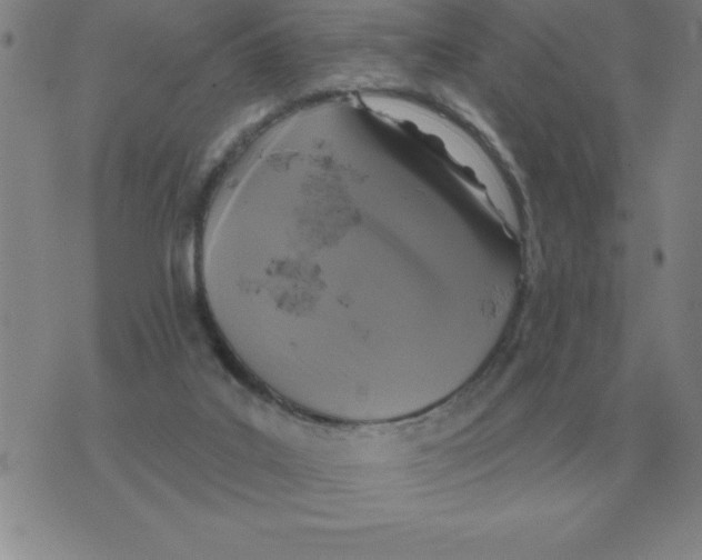 X0000076080019200610152304