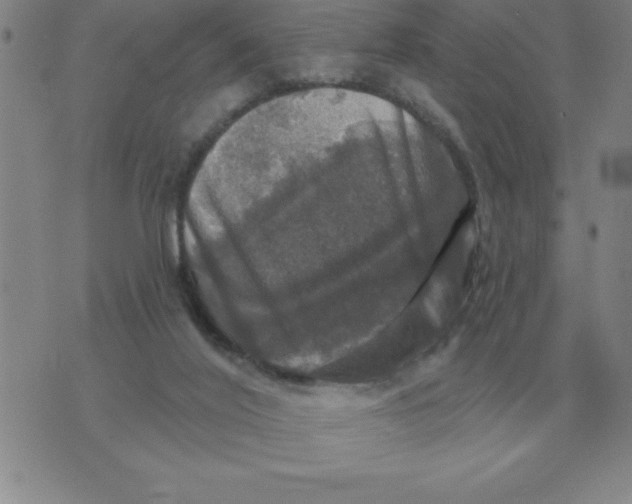 X0000076080020200610152304