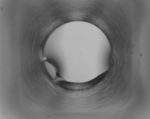 X0000076080021200610152304