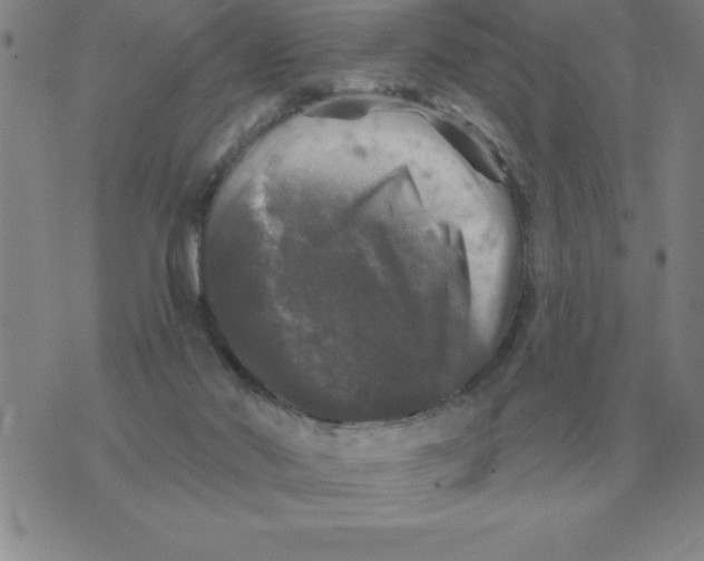 X0000076080022200610152304