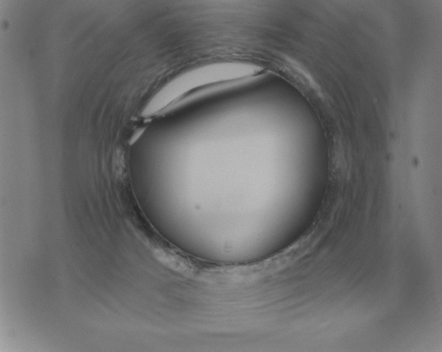 X0000076080025200610152304